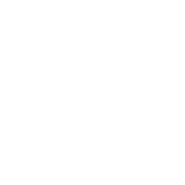psp